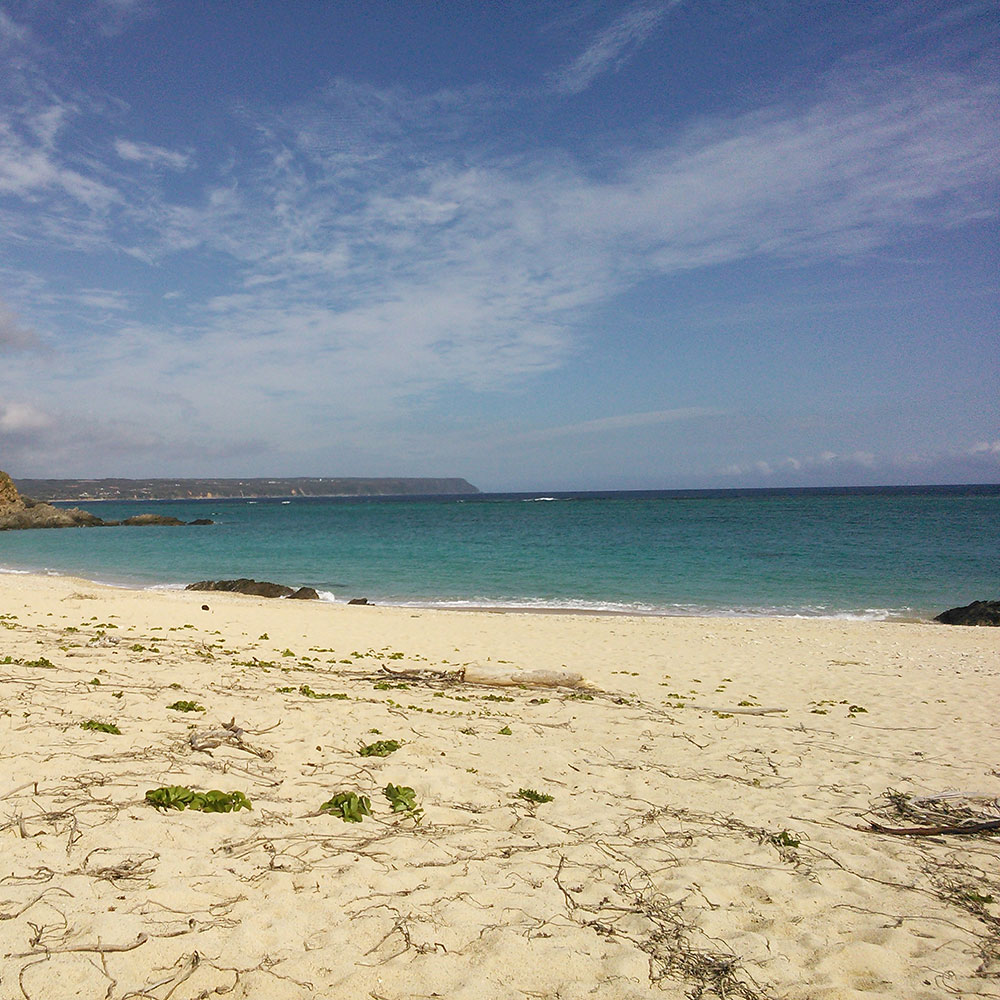 bushcraft campsite uppama beach gesashi higashison  okinawa japan