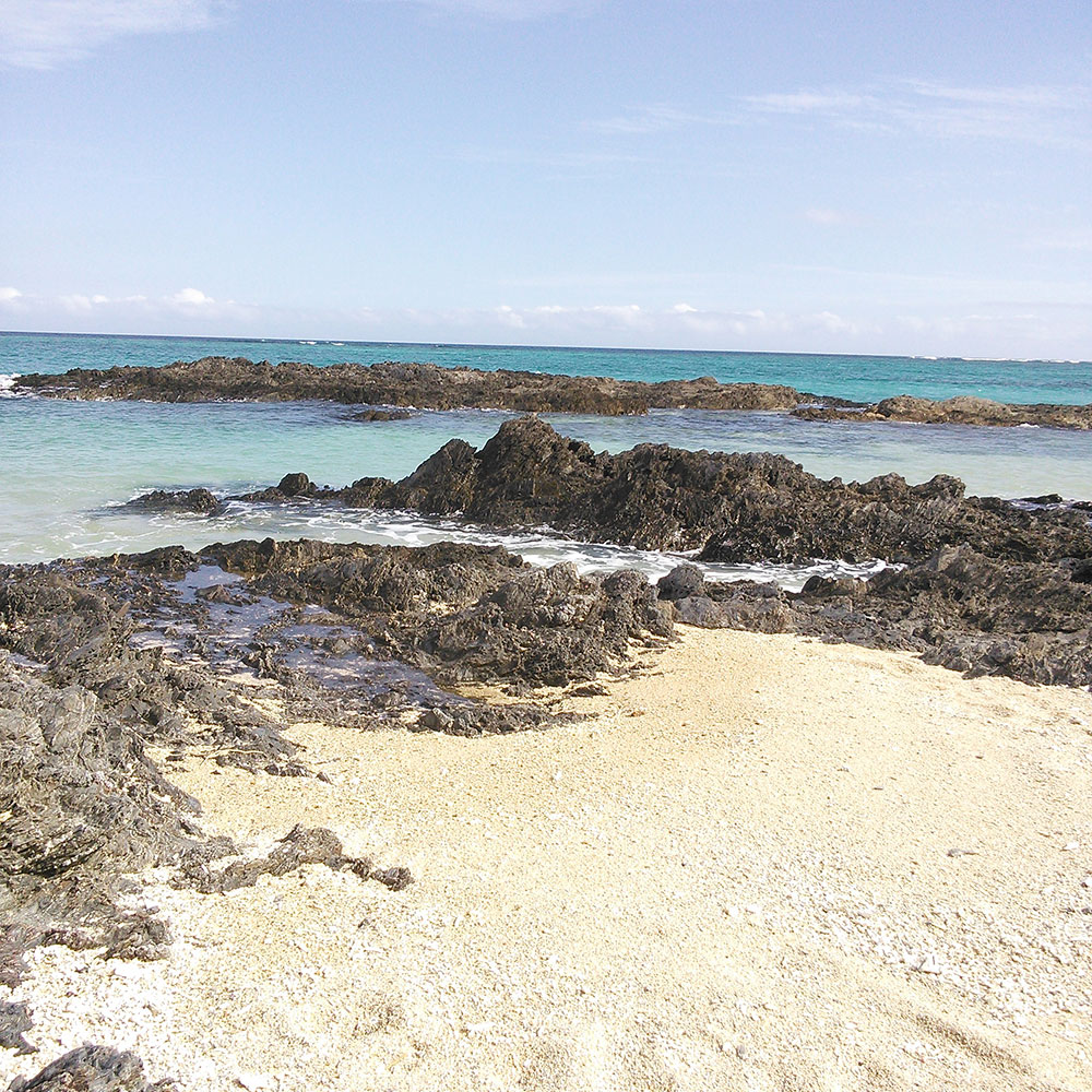bushcraft campsite uppama beach gesashi higashison  okinawa japan