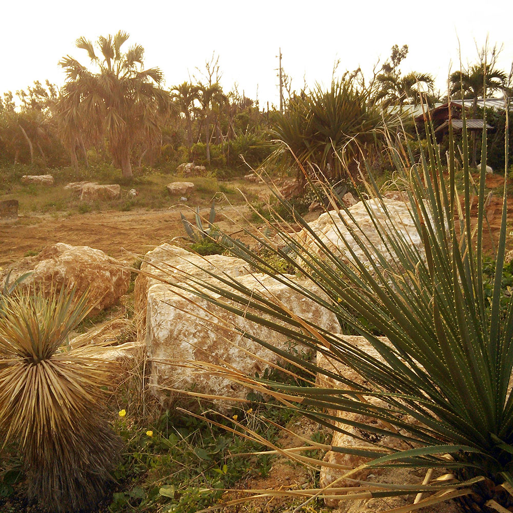 bushcraft campsite uppama beach gesashi higashison  okinawa japan