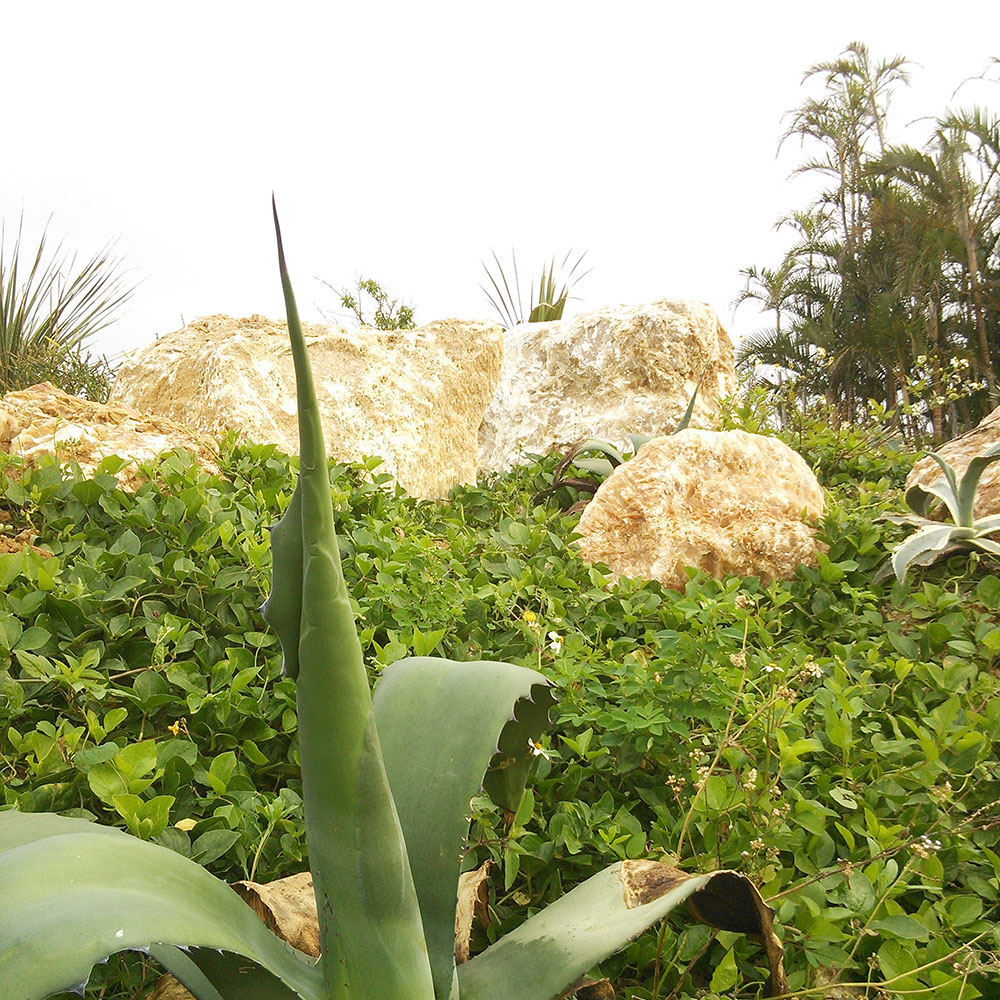 bushcraft campsite uppama beach gesashi higashison  okinawa japan