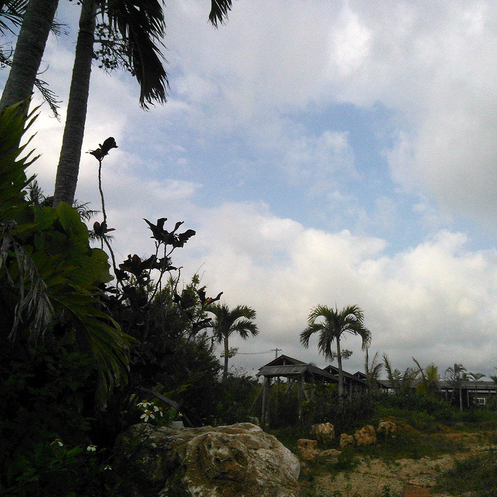 bushcraft campsite uppama beach gesashi higashison  okinawa japan