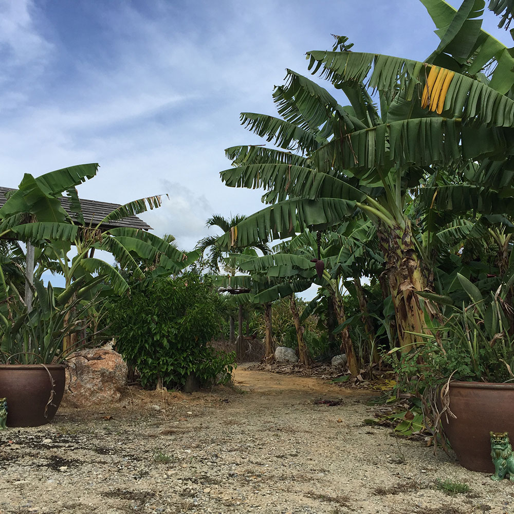 bushcraft campsite uppama beach gesashi higashison  okinawa japan
