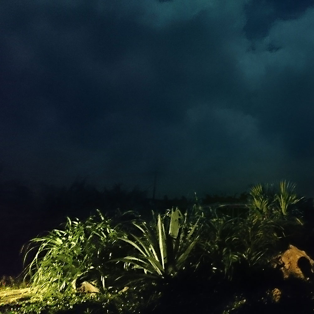 bushcraft campsite uppama beach gesashi higashison  okinawa japan