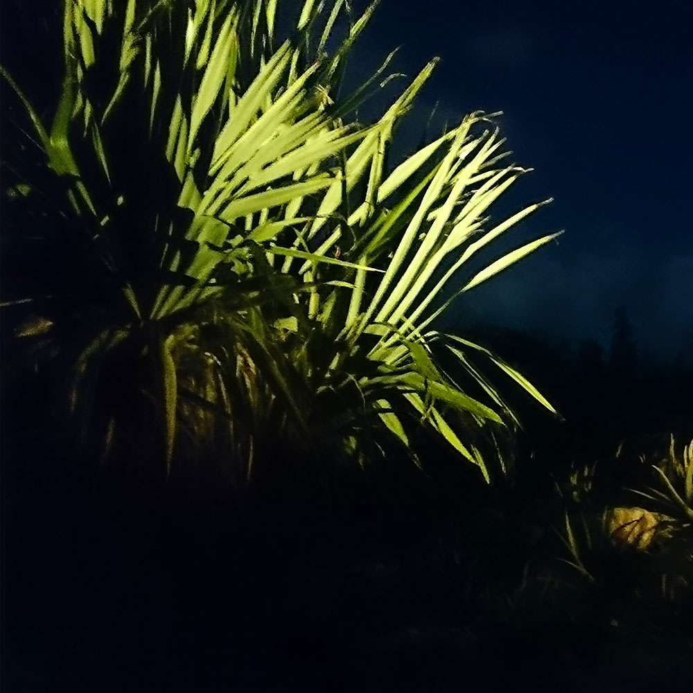 bushcraft campsite uppama beach gesashi higashison  okinawa japan