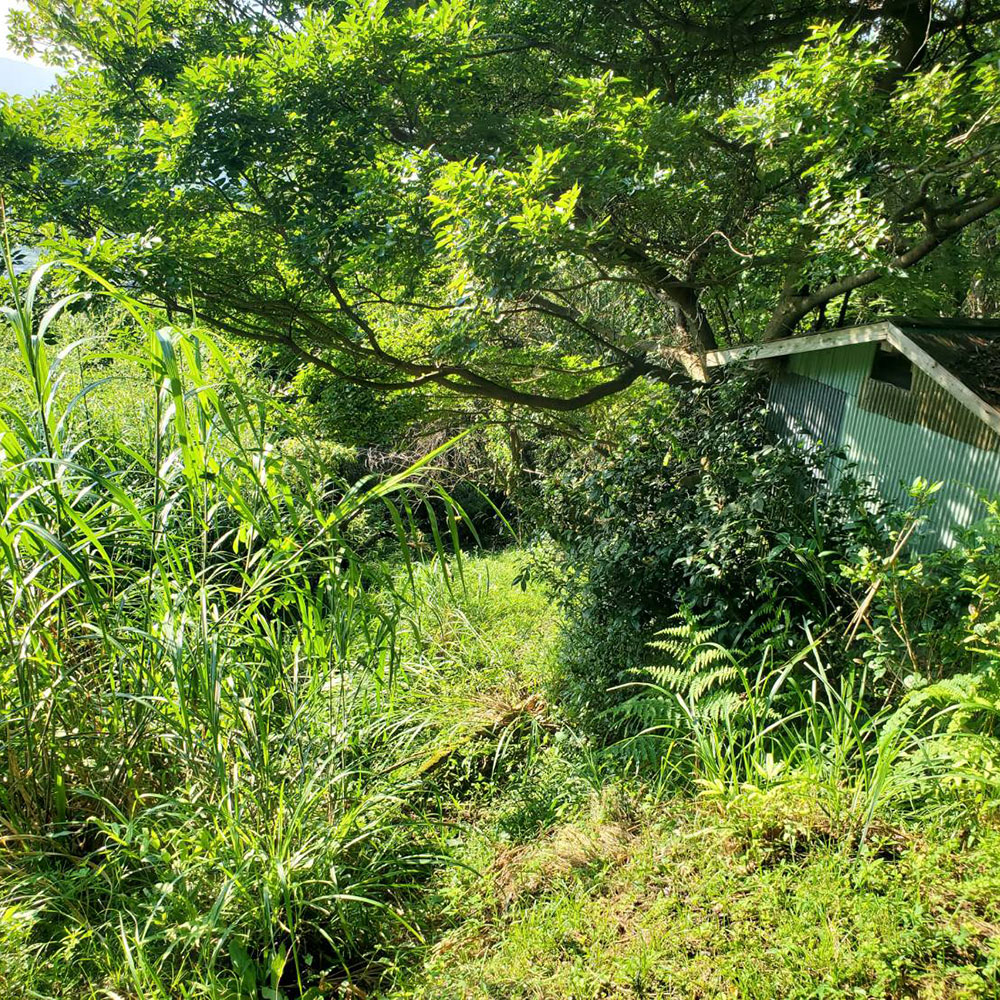 bushcraft campsite ashigara yamakita  kanagawa japan