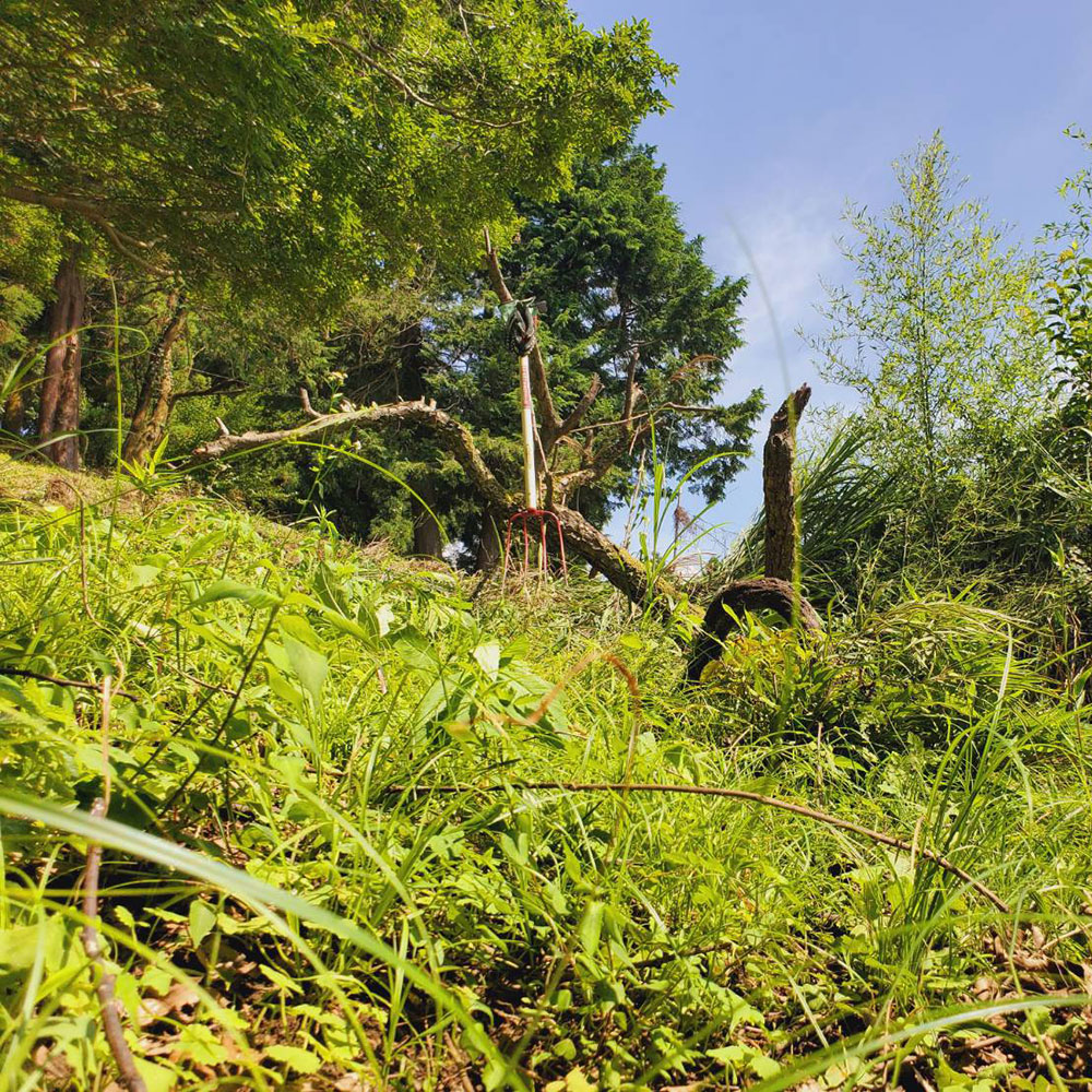 bushcraft campsite ashigara yamakita  kanagawa japan