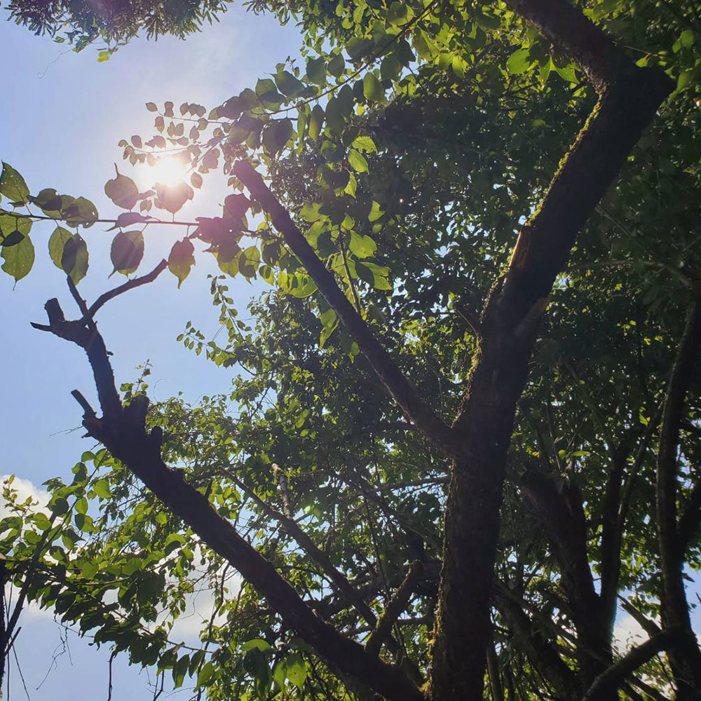 bushcraft campsite ashigara yamakita  kanagawa japan