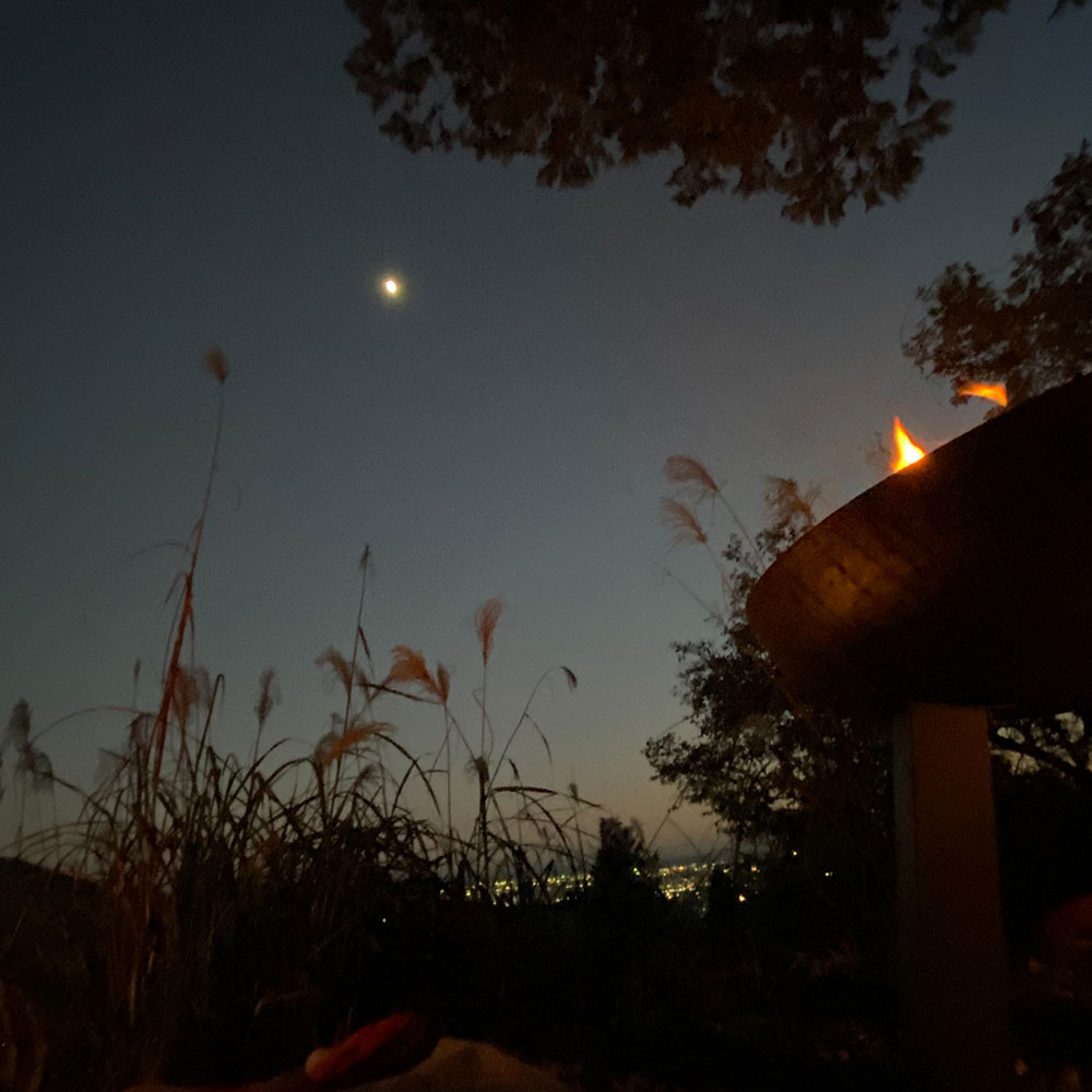 bushcraft campsite ashigara yamakita  kanagawa japan
