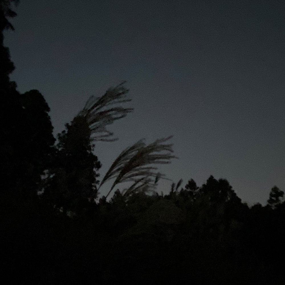 bushcraft campsite ashigara yamakita  kanagawa japan