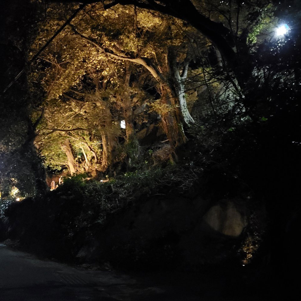 bushcraft campsite yoshihama yugawara kanagawa japan