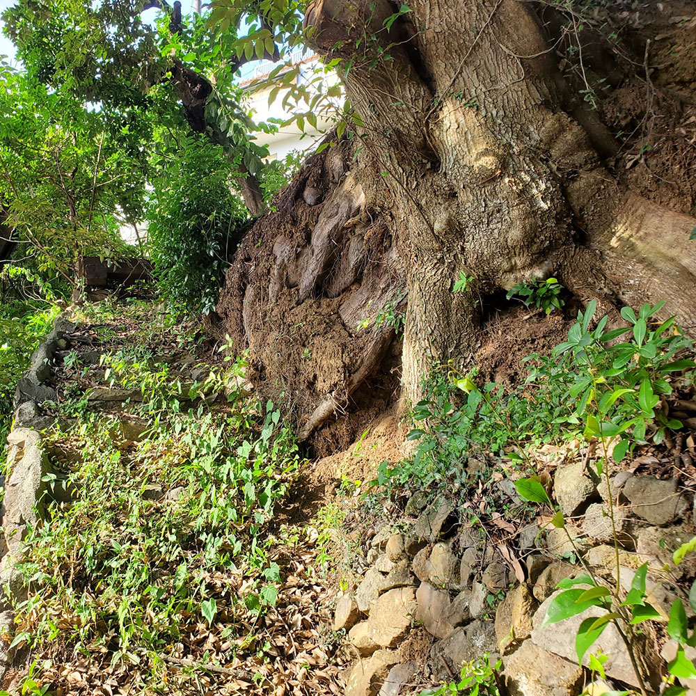 bushcraft campsite yoshihama yugawara kanagawa japan