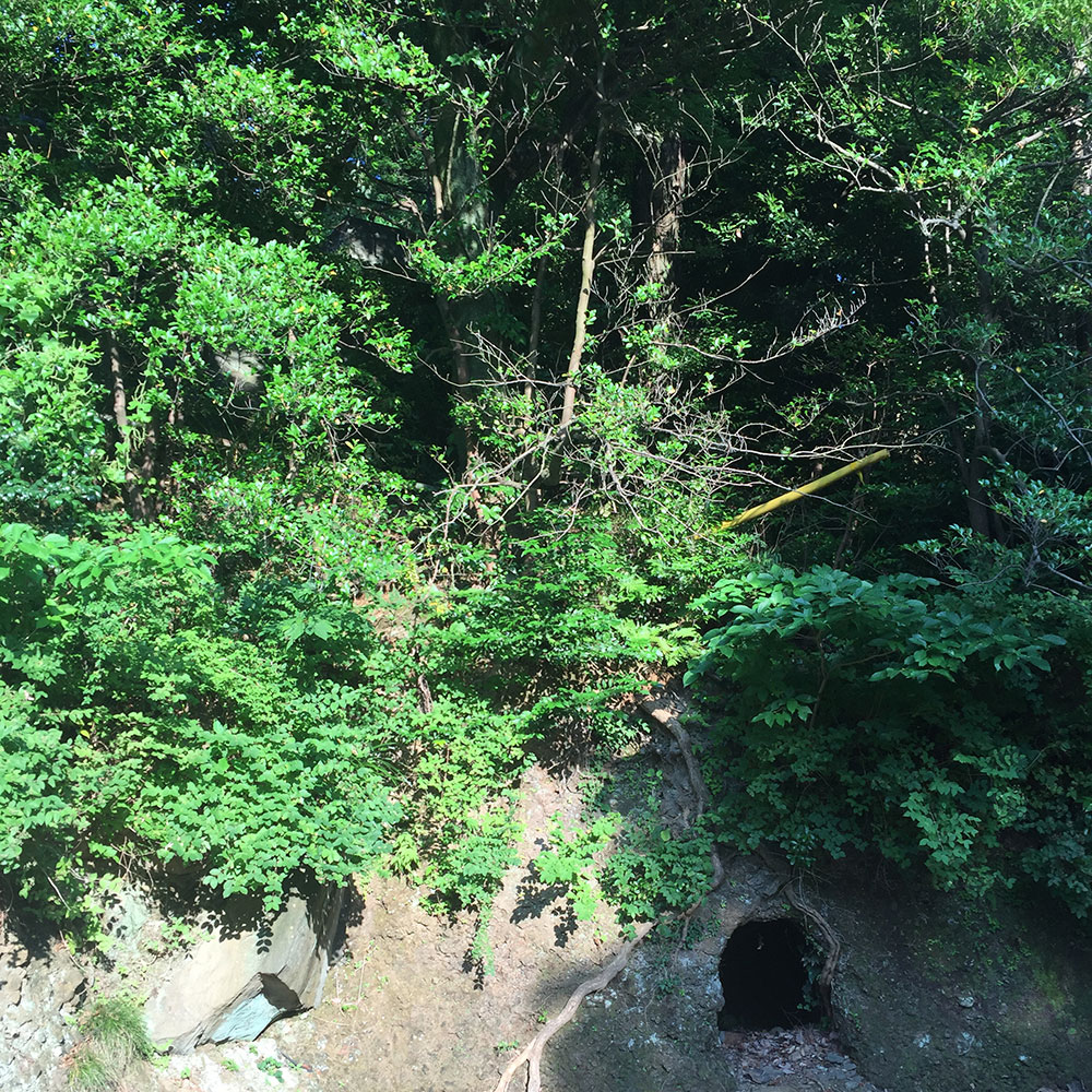 bushcraft campsite yoshihama yugawara kanagawa japan