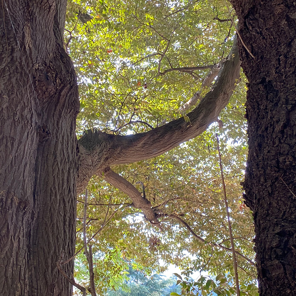 bushcraft campsite yoshihama yugawara kanagawa japan
