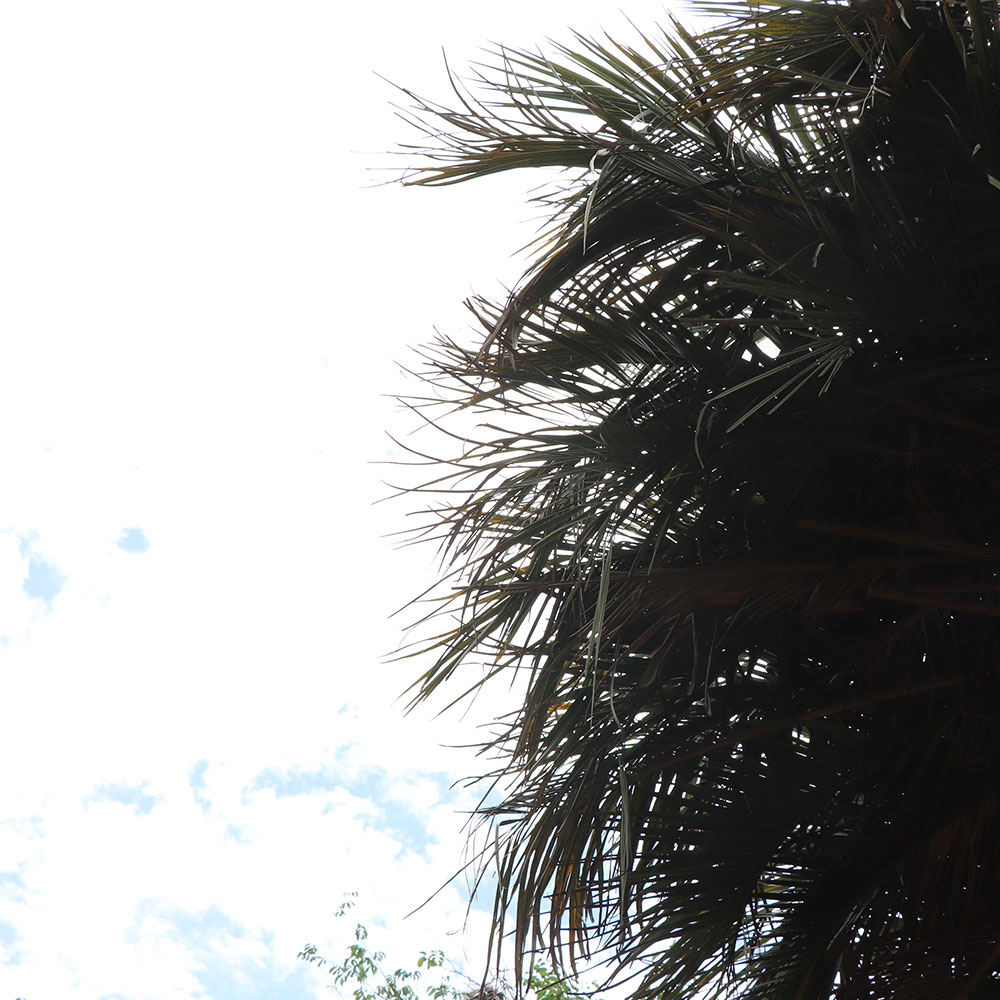 bushcraft campsite Funakoshi yokosuka kanagawa japan