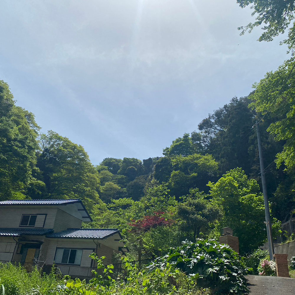 bushcraft campsite horiuchi morito hayama kanagawa japan