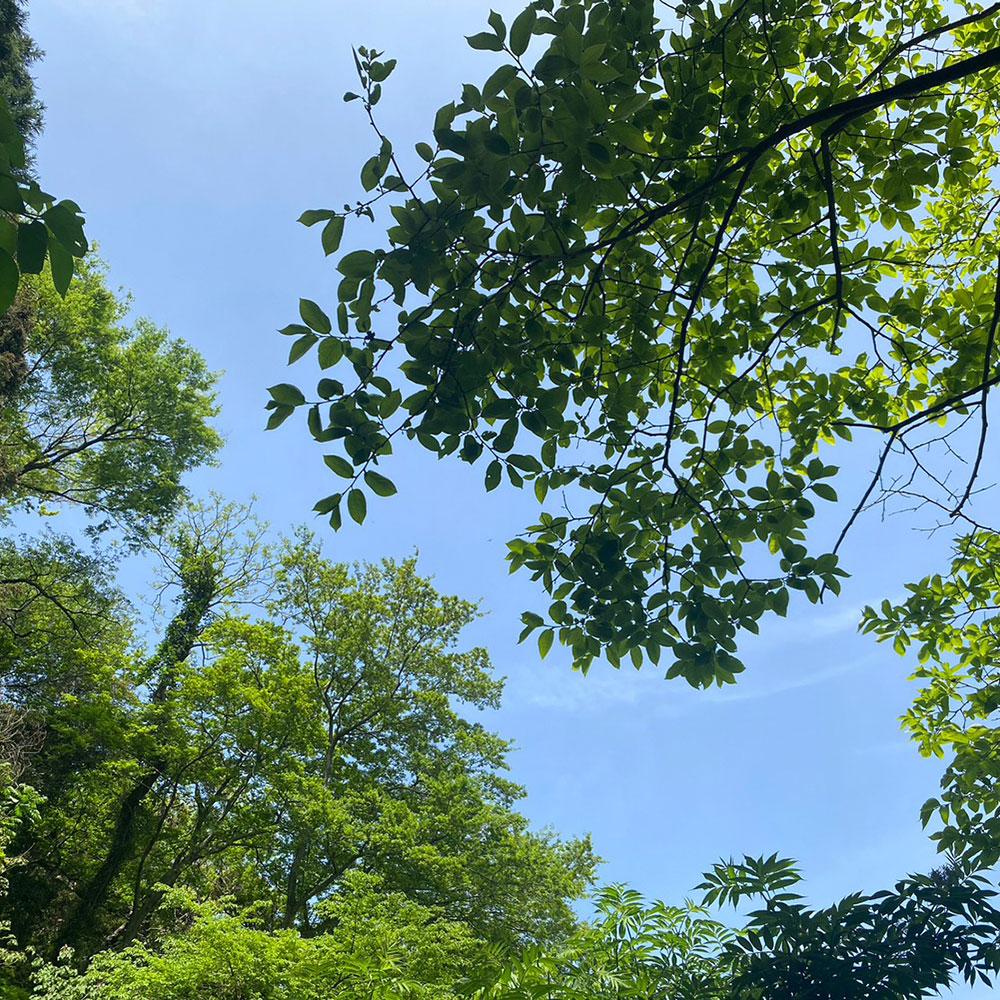 bushcraft campsite horiuchi morito hayama kanagawa japan