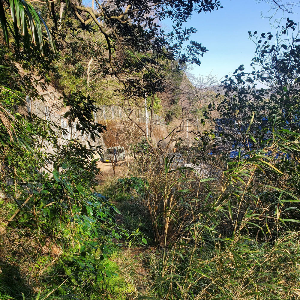 bushcraft campsite horiuchi morito hayama kanagawa japan