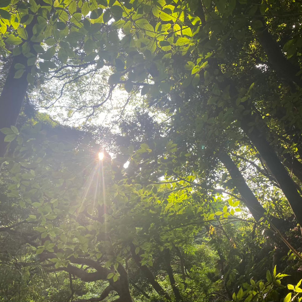 bushcraft campsite kamiyamaguchi hayama kanagawa japan