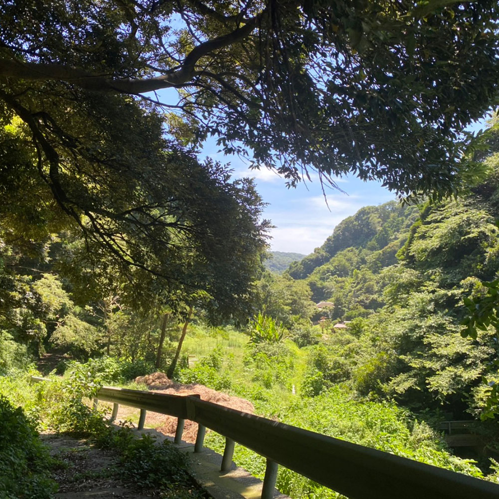 bushcraft campsite kamiyamaguchi hayama kanagawa japan