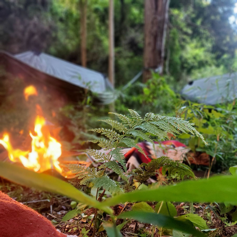 bushcraft campsite kamiyamaguchi hayama kanagawa japan