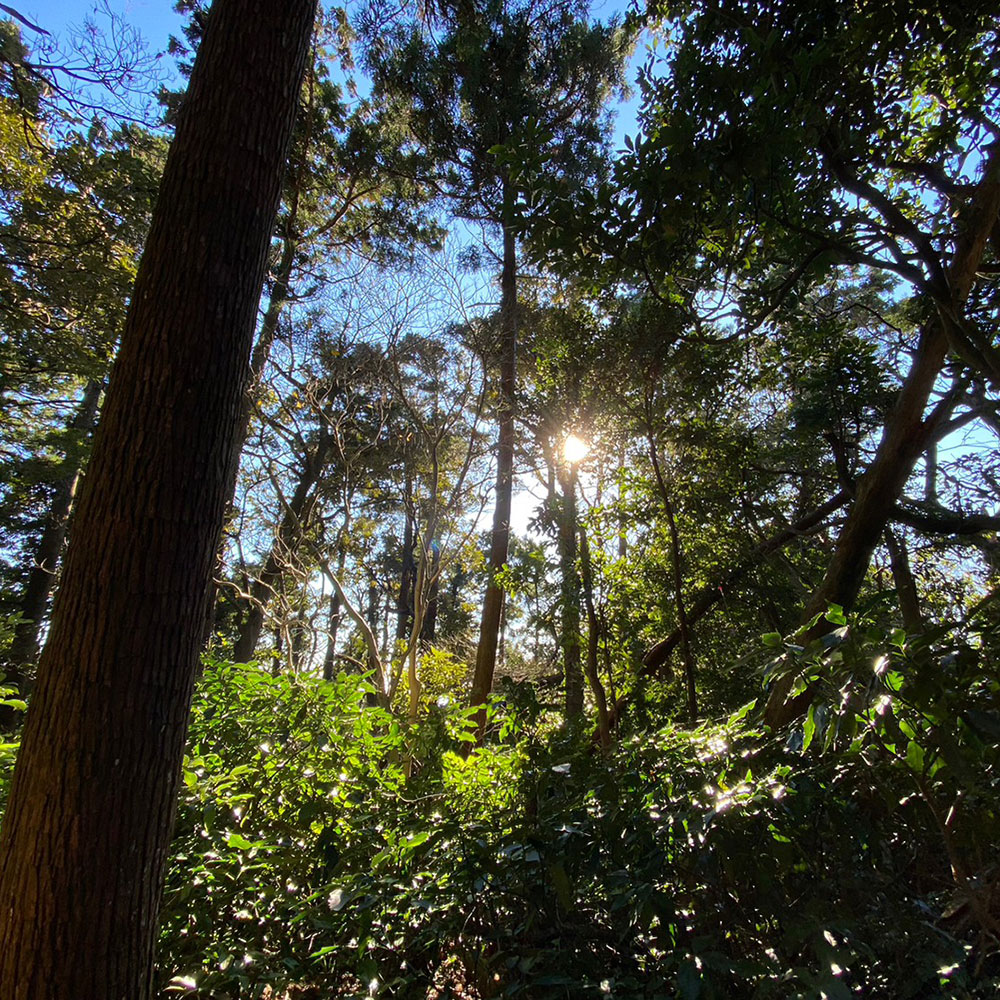 bushcraft campsite sakurayama zushi kanagawa japan