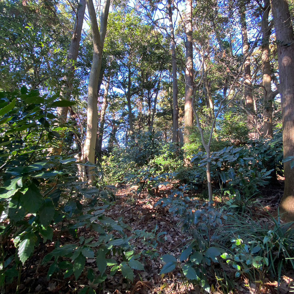 bushcraft campsite sakurayama zushi kanagawa japan