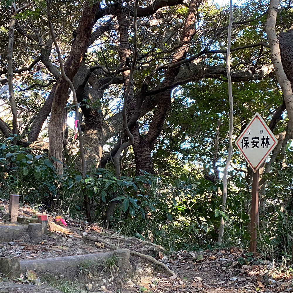 bushcraft campsite sakurayama zushi kanagawa japan
