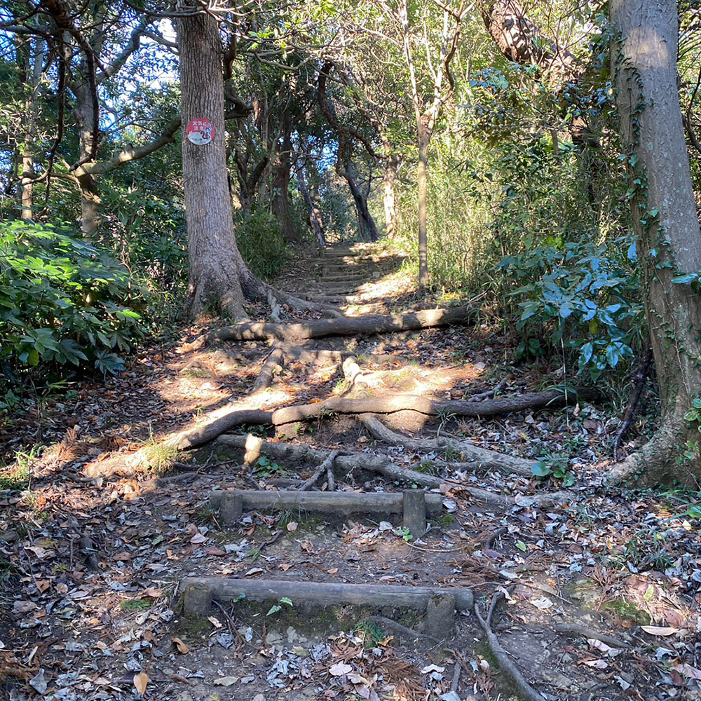 bushcraft campsite sakurayama zushi kanagawa japan