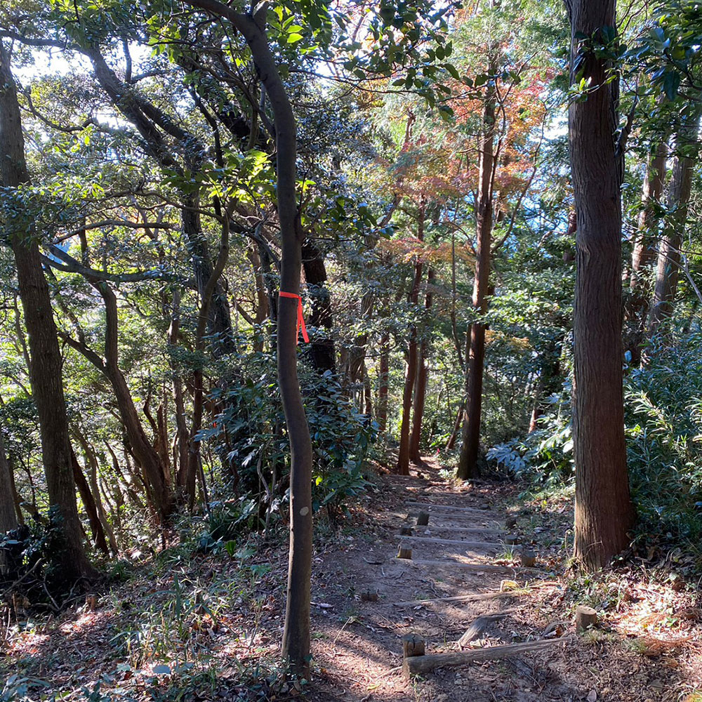 bushcraft campsite sakurayama zushi kanagawa japan