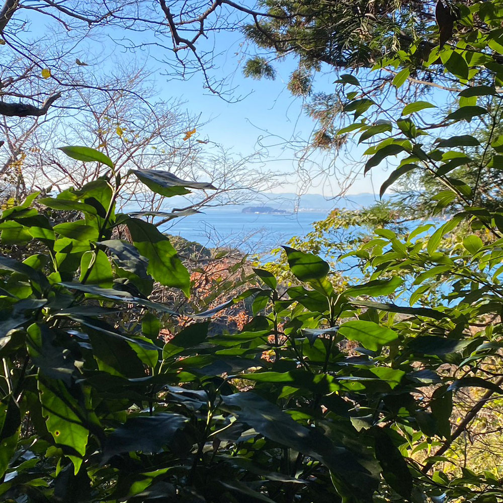 bushcraft campsite sakurayama zushi kanagawa japan