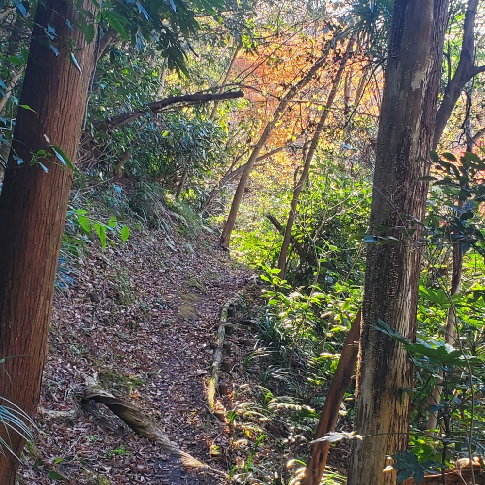 bushcraft campsite sakurayama zushi kanagawa japan