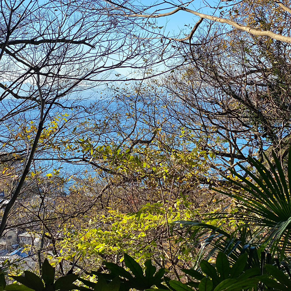 bushcraft campsite sakurayama zushi kanagawa japan