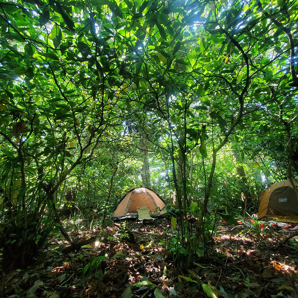 bushcraft campsite sakurayama zushi kanagawa japan