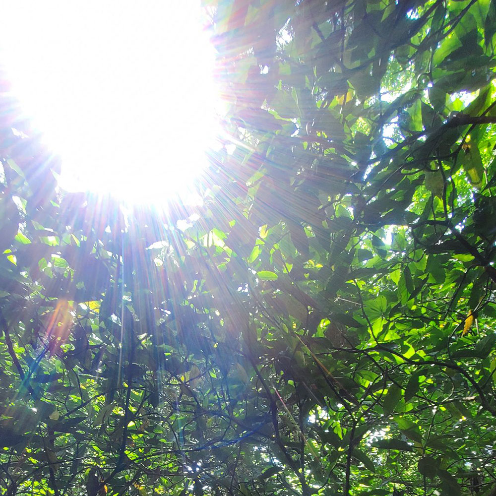 bushcraft campsite sakurayama zushi kanagawa japan