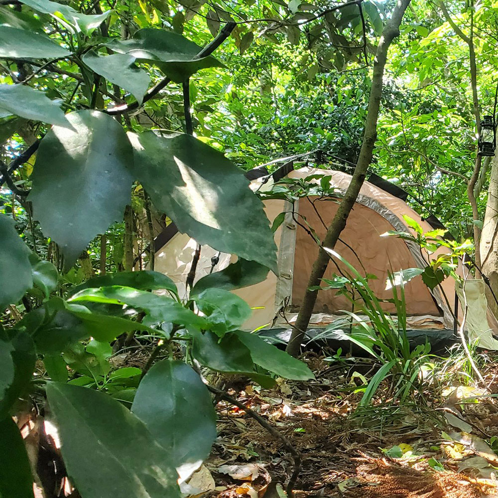 bushcraft campsite sakurayama zushi kanagawa japan