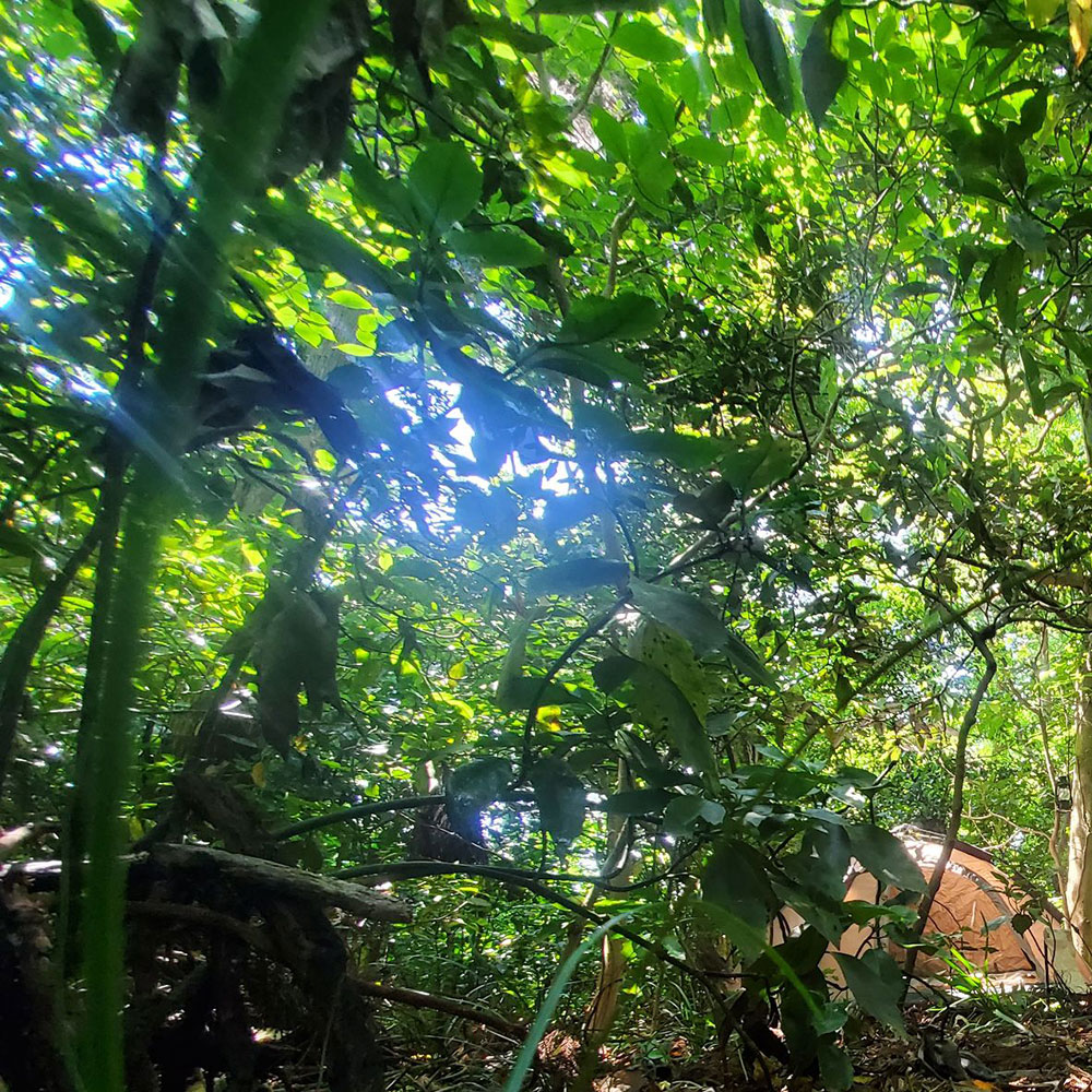 bushcraft campsite sakurayama zushi kanagawa japan
