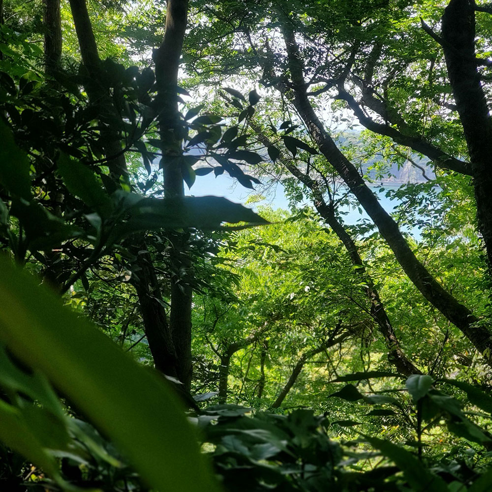 bushcraft campsite sakurayama zushi kanagawa japan