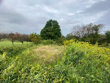 神奈川県横須賀市田浦梅の里ブッシュクラフトキャンプ場