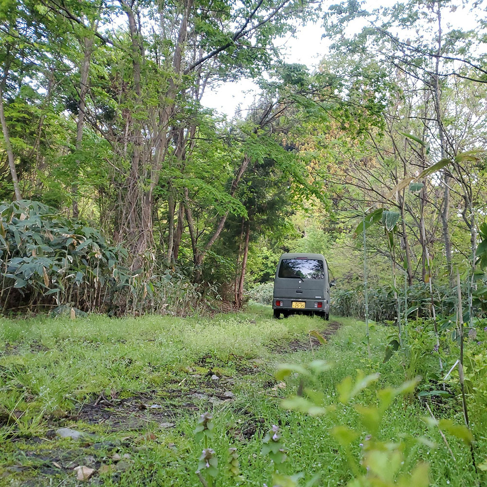 bushcraft campsite towada aomori japan