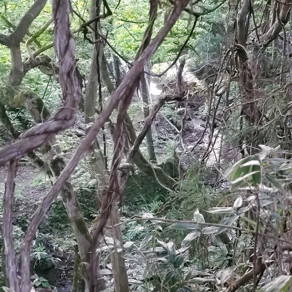 bushcraft campsite towada aomori japan