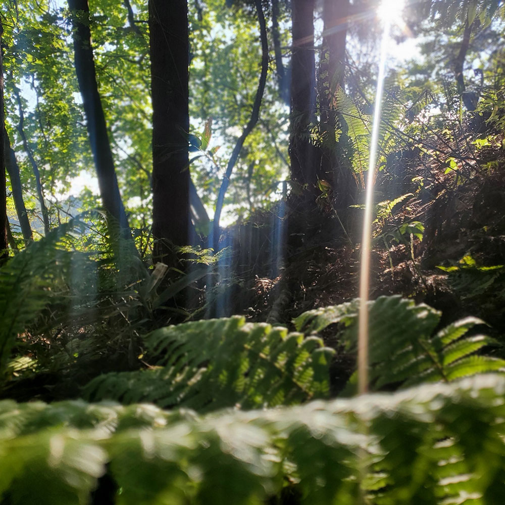 bushcraft campsite towada aomori japan