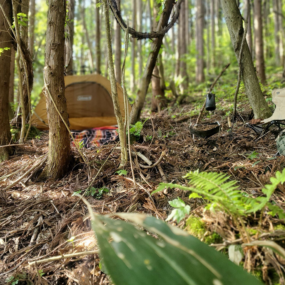 bushcraft campsite towada aomori japan