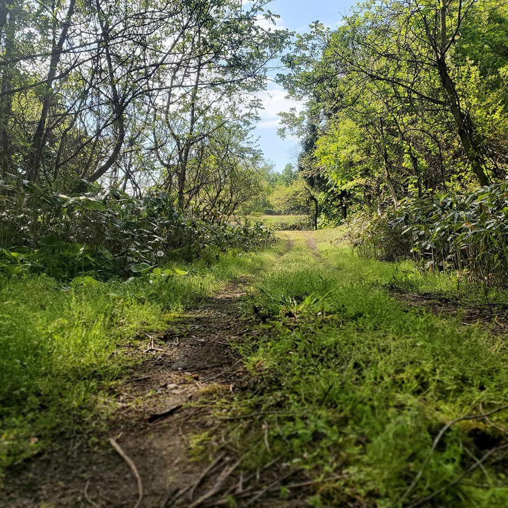 bushcraft campsite towada aomori japan