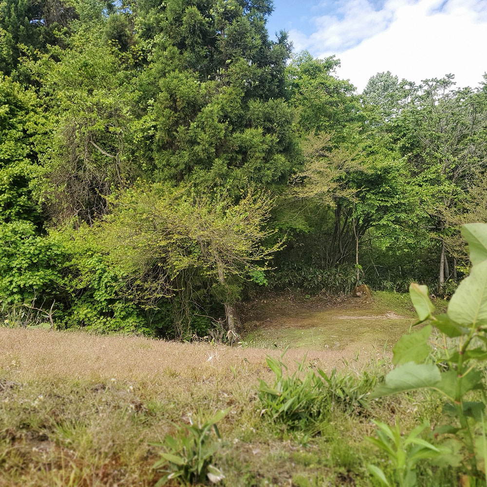 bushcraft campsite towada aomori japan